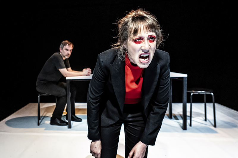 LES YEUX ROUGES - Isabelle Defossé et Vincent Lecuyer 6