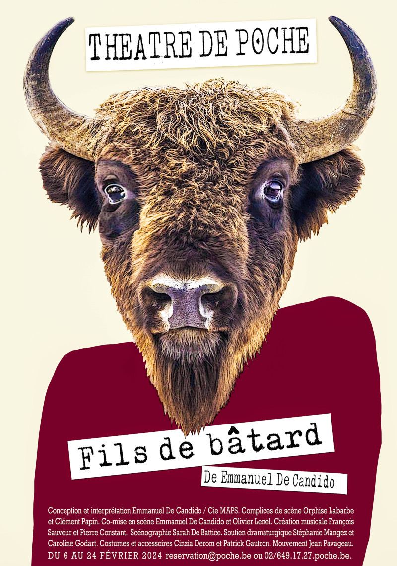 Affiche — Fils de bâtard