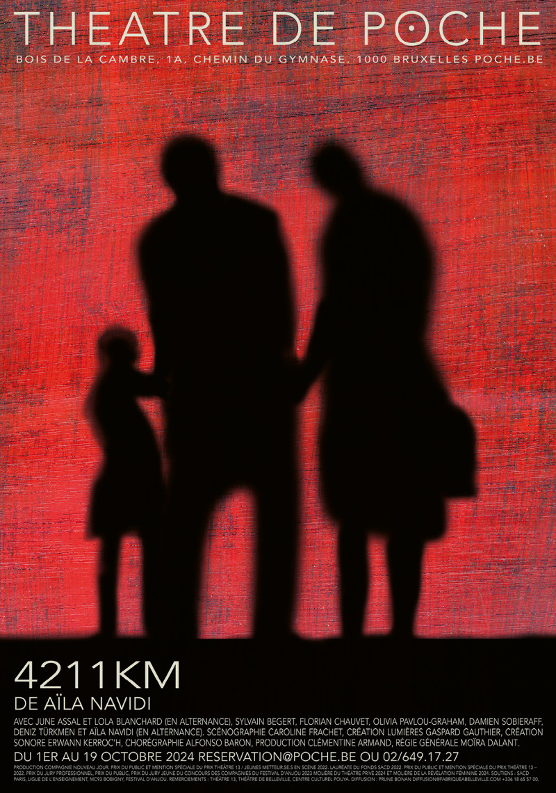 Affiche — 4211 km