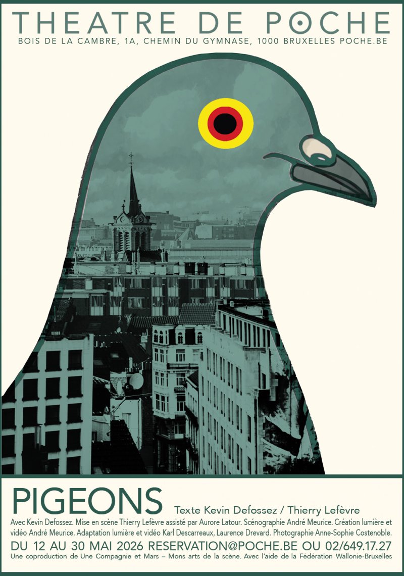 Affiche — Pigeons